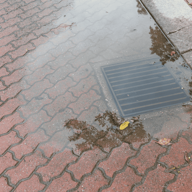 Csatornatisztítás,Vízszivattyúzás,Pinceelöntés,Visszacsapó szelep,Nyári vihar,Pince szivattyúzás vihar után,Visszacsapó szelep ellenőrzése és beépítése,Ereszcsatorna és udvari összefolyó tisztítás,Esőzés utáni dugulás oka,Vízszivattyúzás Budapest,Gyors segítség dugulás esetén Budapest