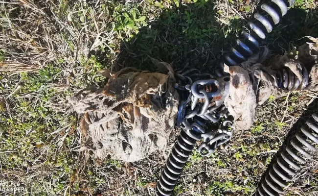 Nedvestörlőkendő álltal okozott dugulás domony Nedvestörlőkendő álltal okozott dugulás domony